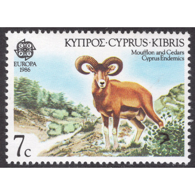CYPRUS SCOTT 669