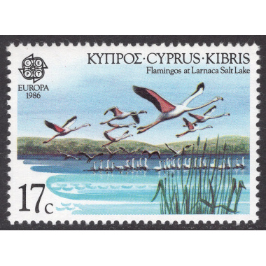 CYPRUS SCOTT 670