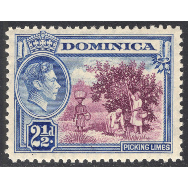 DOMINICA SCOTT 101
