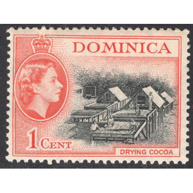 DOMINICA SCOTT 143