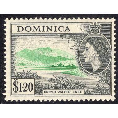 DOMINICA SCOTT 155