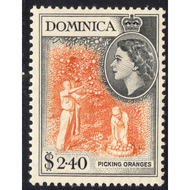 DOMINICA SCOTT 156