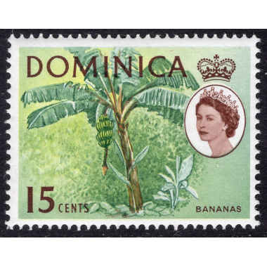 DOMINICA SCOTT 174
