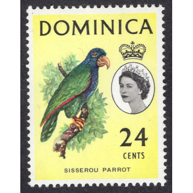 DOMINICA SCOTT 175