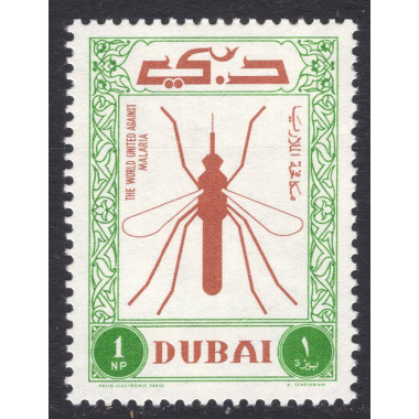 DUBAI SCOTT 22