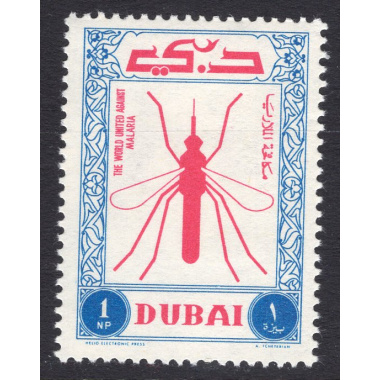 DUBAI SCOTT 24