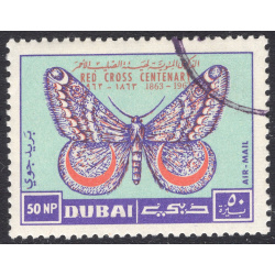 DUBAI SCOTT C12