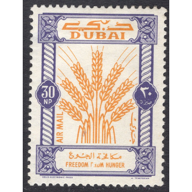 DUBAI SCOTT C16
