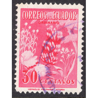 ECUADOR SCOTT 591