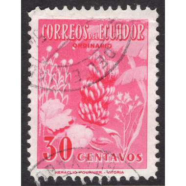 ECUADOR SCOTT 591