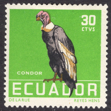 ECUADOR SCOTT 636