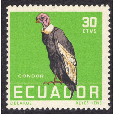 ECUADOR SCOTT 636