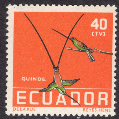 ECUADOR SCOTT 637
