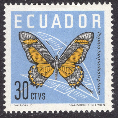 ECUADOR SCOTT 681