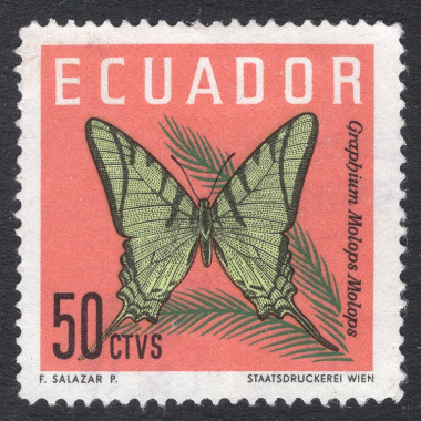 ECUADOR SCOTT 712