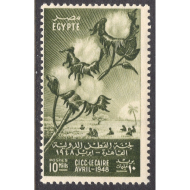 EGYPT SCOTT 270