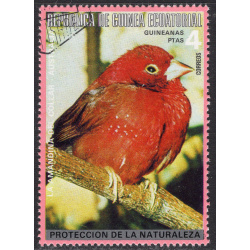 EQUATORIAL GUINEA LOT 36