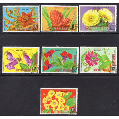 EQUATORIAL GUINEA LOT 53