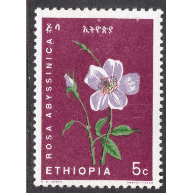 ETHIOPIA SCOTT 434
