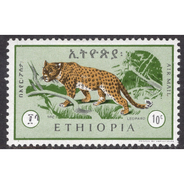ETHIOPIA SCOTT C103