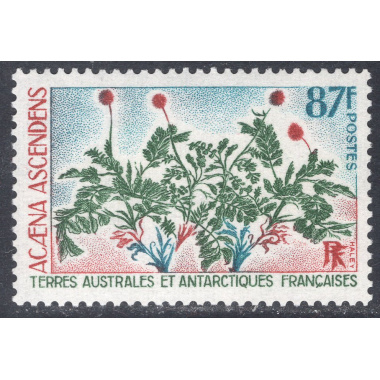 FRENCH SOUTHERN AND ANTARCTIC TERRITORY SCOTT 56