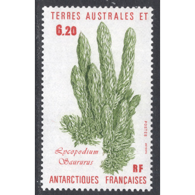 FRENCH SOUTHERN AND ANTARCTIC TERRITORY SCOTT 122