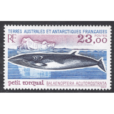 FRENCH SOUTHERN AND ANTARCTIC TERRITORY SCOTT 208