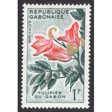 GABON SCOTT 155