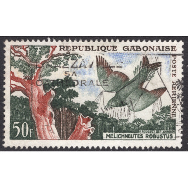 GABON SCOTT C4