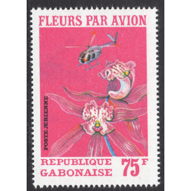 GABON SCOTT C110
