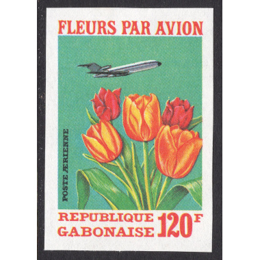 GABON SCOTT C111