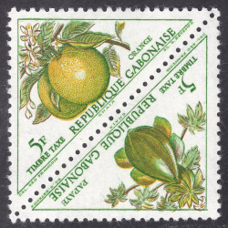 GABON SCOTT J41A