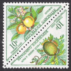 GABON SCOTT J43A