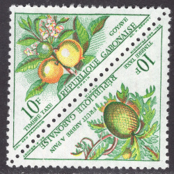 GABON SCOTT J43A