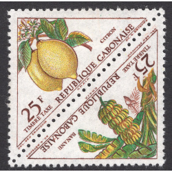 GABON SCOTT J45A