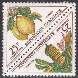 GABON SCOTT J45A