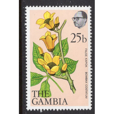 GAMBIA SCOTT 360