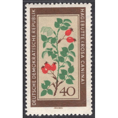 GERMAN DEMOCRATIC REPUBLIC SCOTT 498