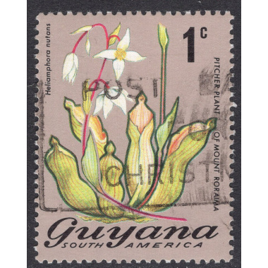 GUYANA SCOTT 133