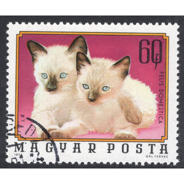 HUNGARY SCOTT 2324
