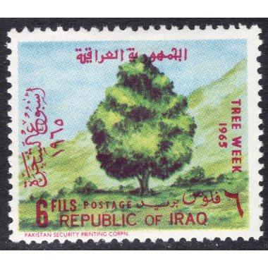 IRAQ SCOTT 367