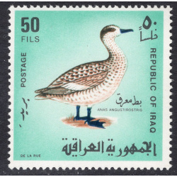 IRAQ SCOTT 469