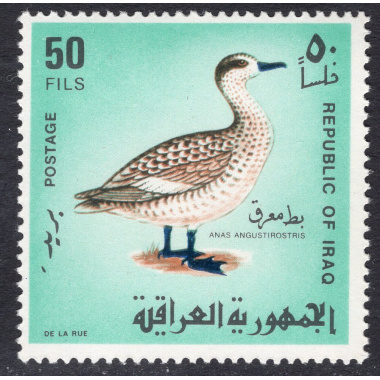 IRAQ SCOTT 469