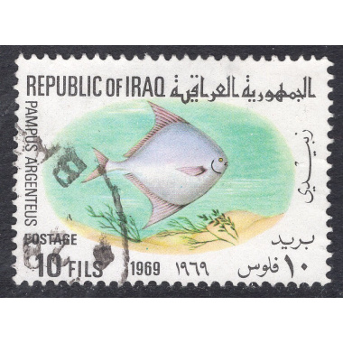 IRAQ SCOTT 493