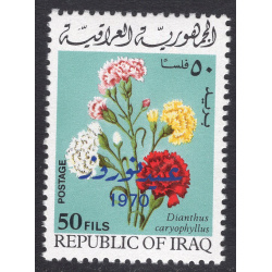 IRAQ SCOTT 531