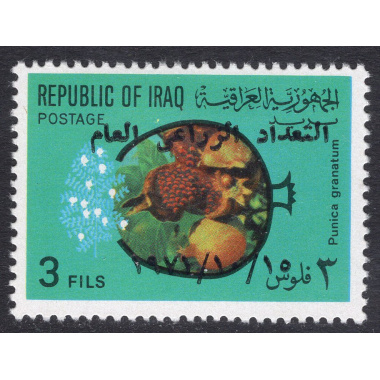 IRAQ SCOTT 613