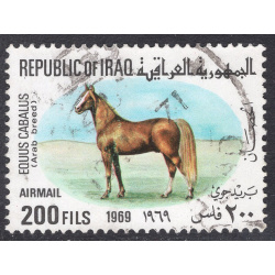 IRAQ SCOTT C31