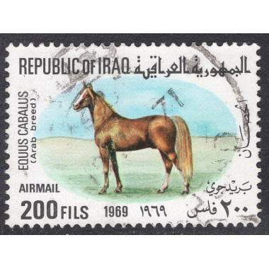 IRAQ SCOTT C31