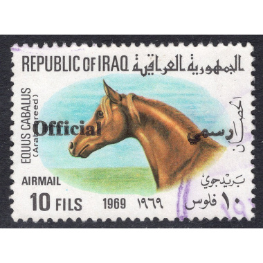 IRAQ SCOTT CO5