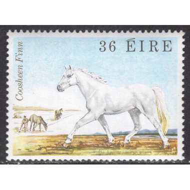 IRELAND SCOTT 509